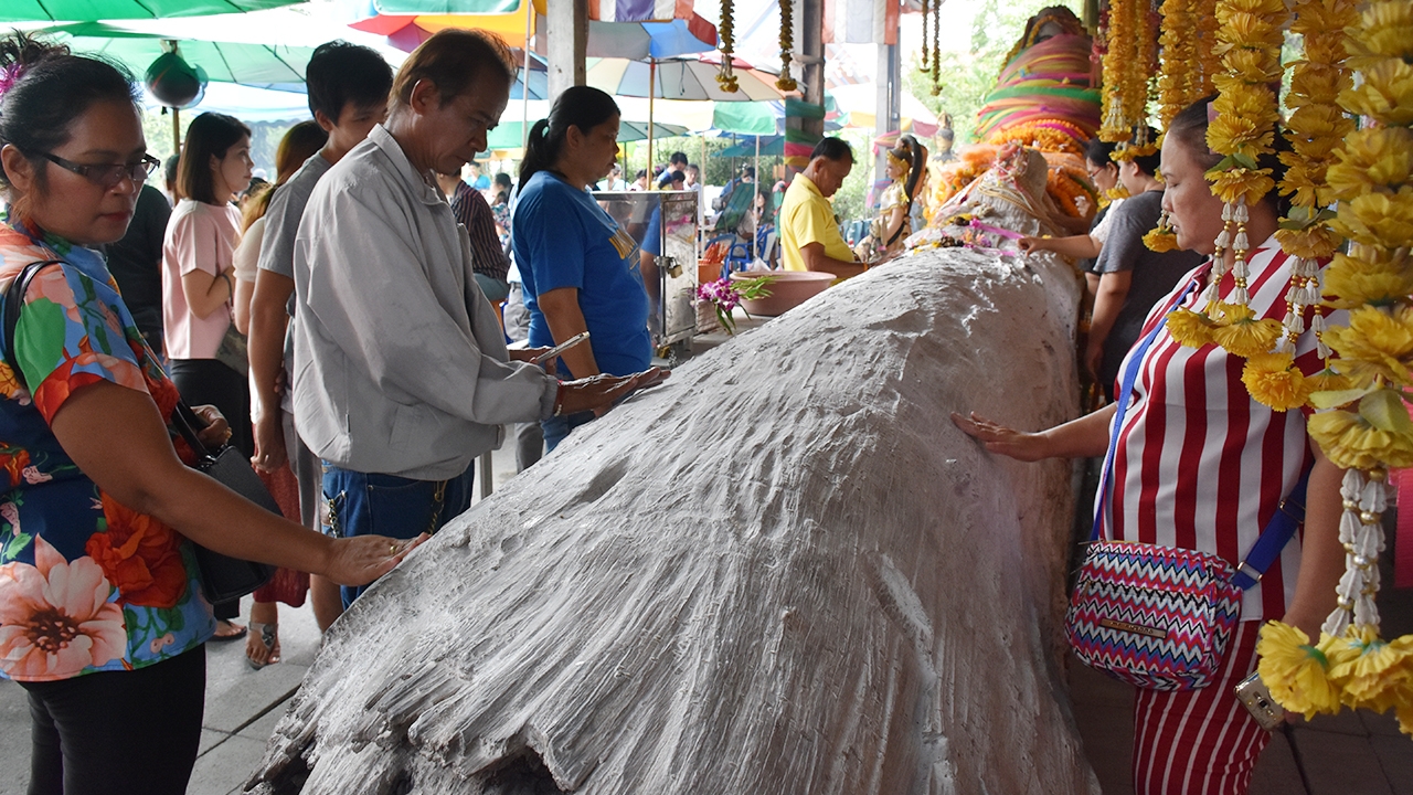 แห่ขอโชค "ตะเคียนทอง" 400 ปี วัดสว่างอารมณ์ คนดวงเฮงบอกมีเลข 9