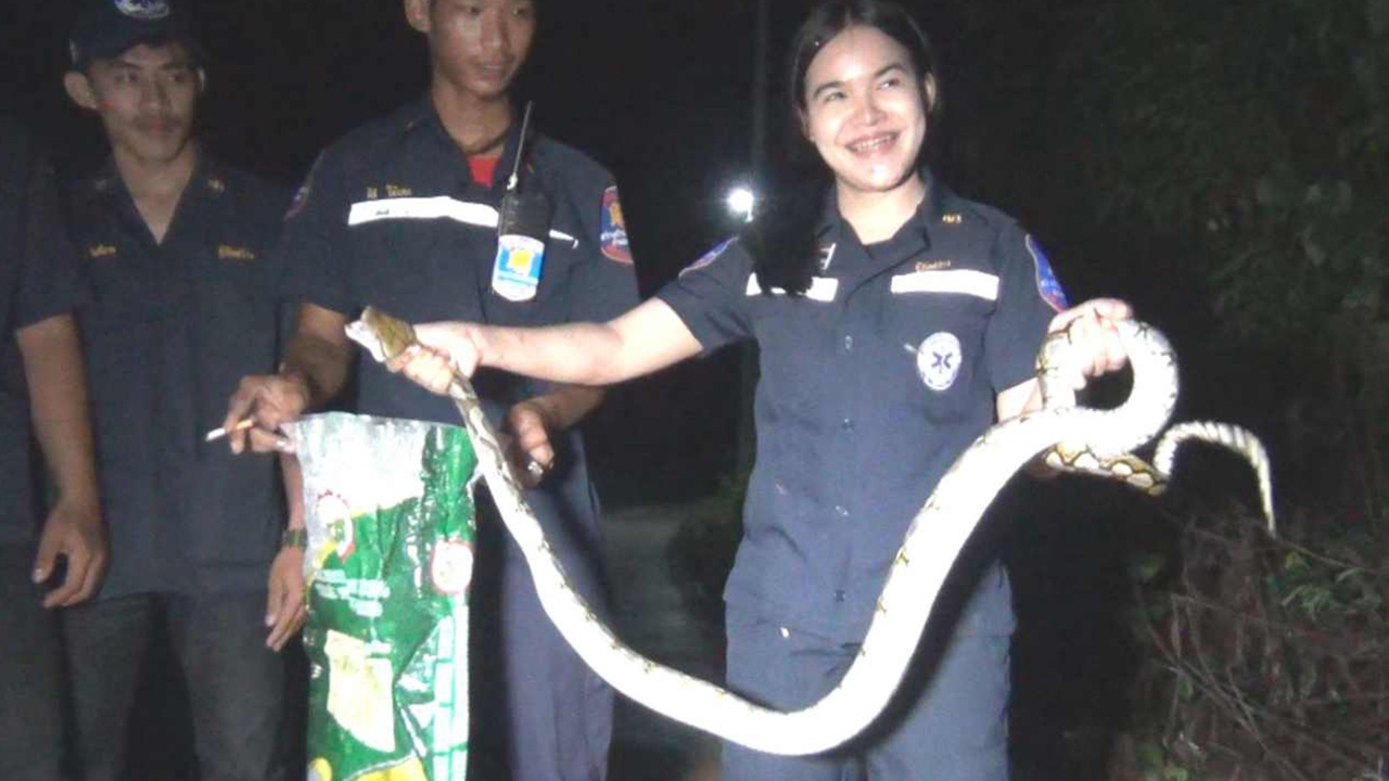 หนุ่มๆ ยืนตะลึง กู้ภัยสาวใช้มือเปล่า คว้าหมับจับคองูเหลือม