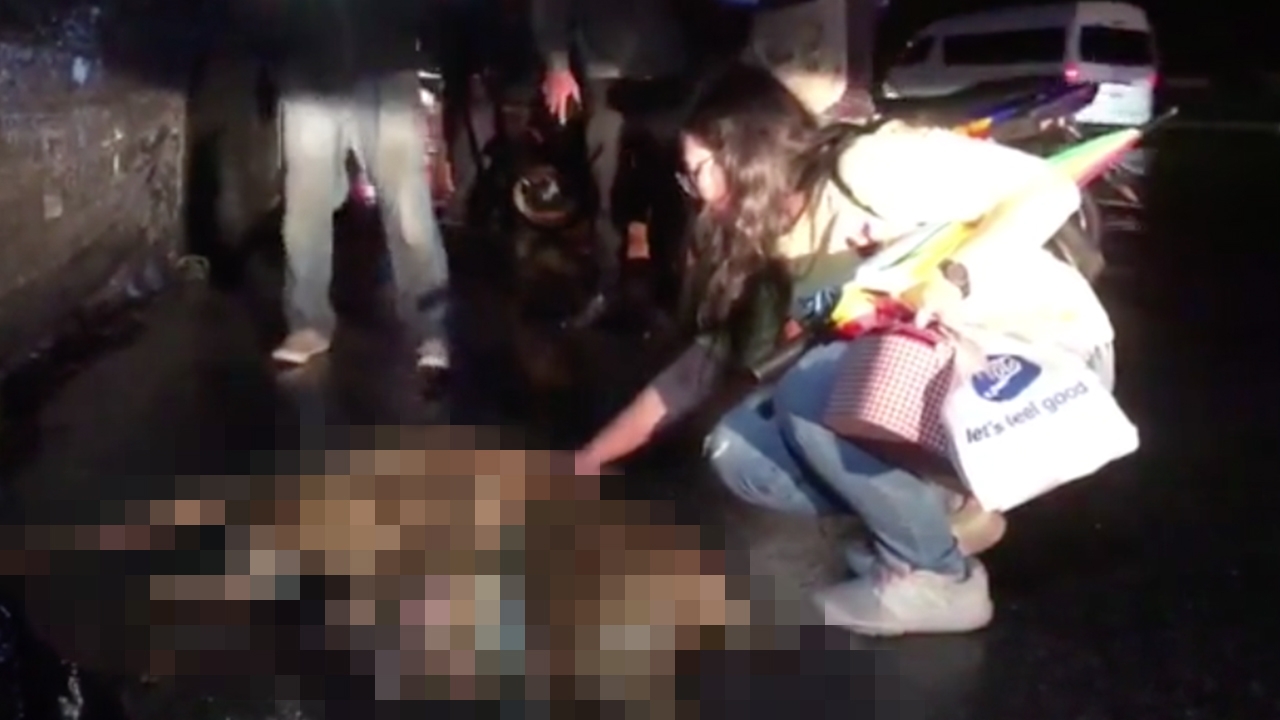 กวางท้องแก่หลุดออกกลางถนน โดนรถชนตายทั้งกลม ก่อนแยกหาดวอนนภา