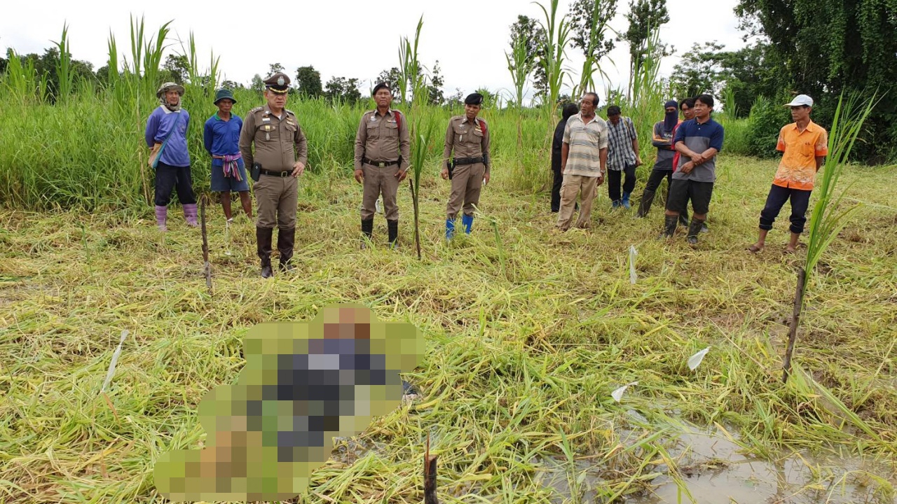 หนุ่มสมาชิก อบต.นาหนัง วูบหน้าคว่ำตายกลางไร่อ้อยที่หนองคาย