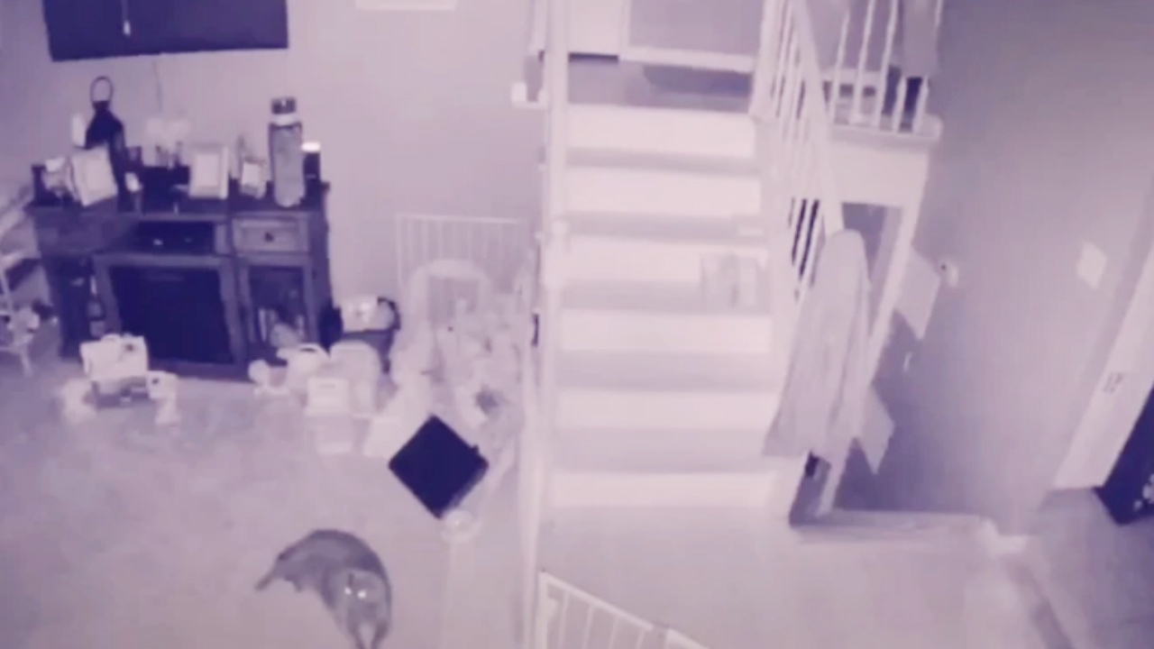 เจ้าของบ้านขนลุก เห็นเงาประหลาดในวงจรปิด อดคิดไม่ได้ อาจเป็น‘ผีเด็ก’ (คลิป)