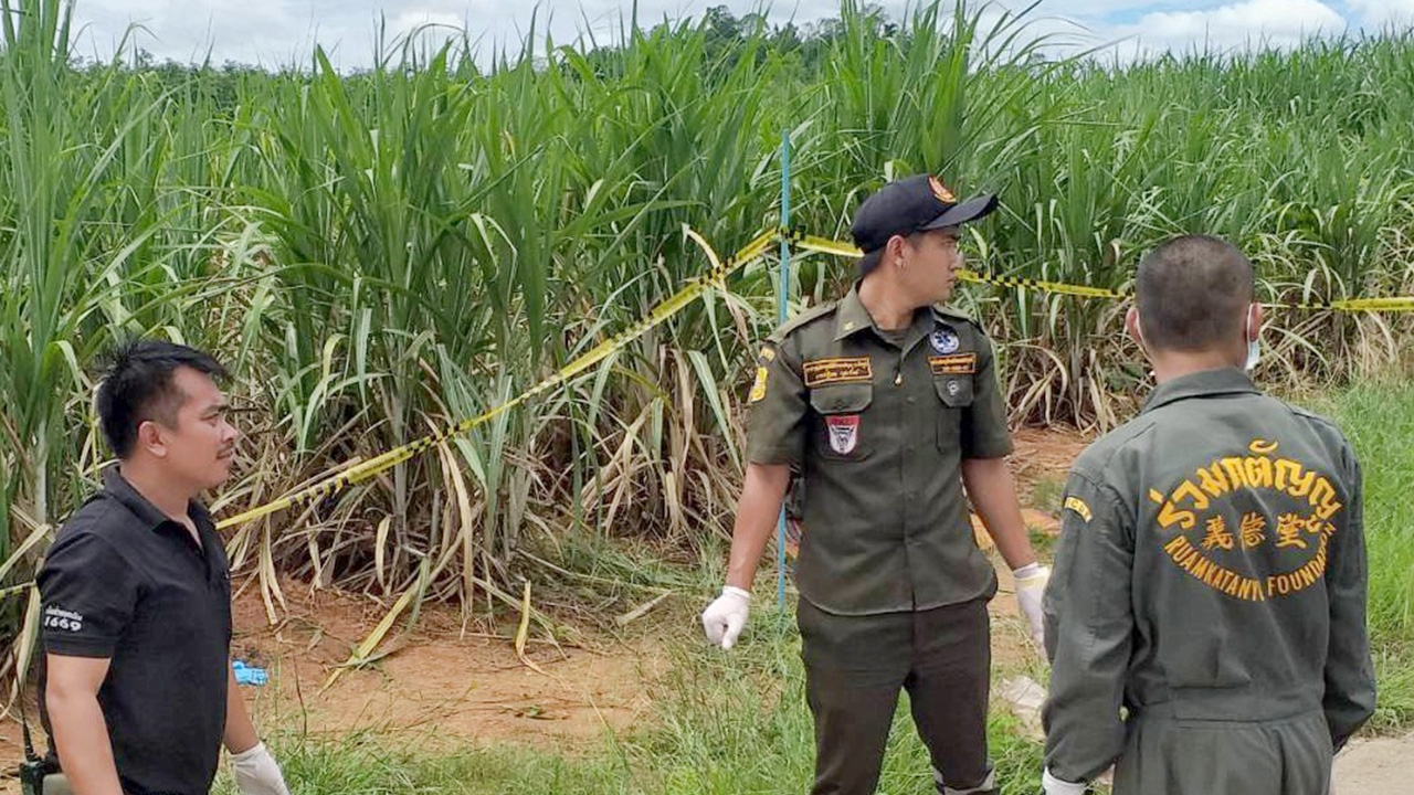 พบศพนุ่มใหญ่ ฆ่าโหดทิ้งอำพราง รวบมืือสังหารเป็นรุ่นพี่ อ้างเมาทะเลากัน