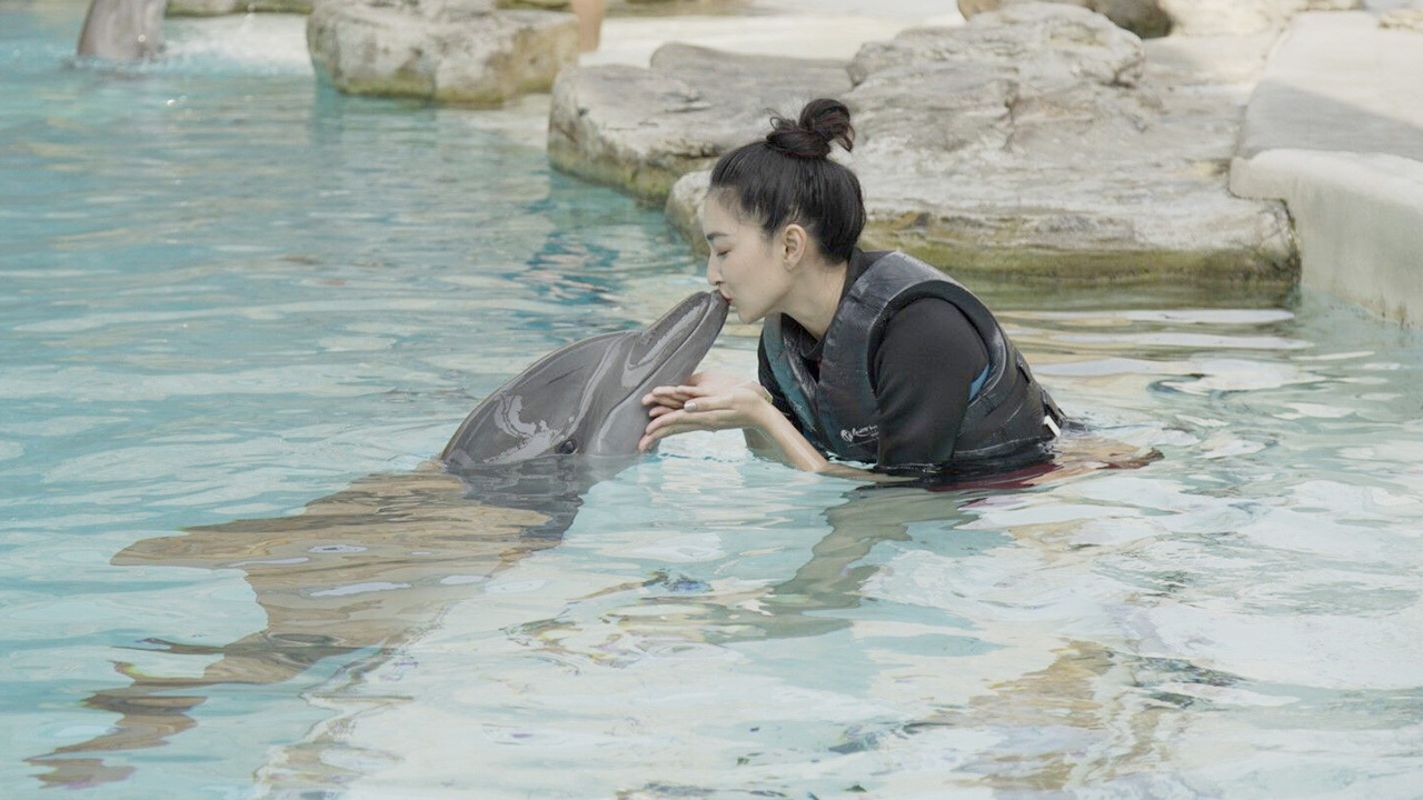 อุ๊ยๆ น่ารักอย่างแรง แพนเค้ก-โลมา