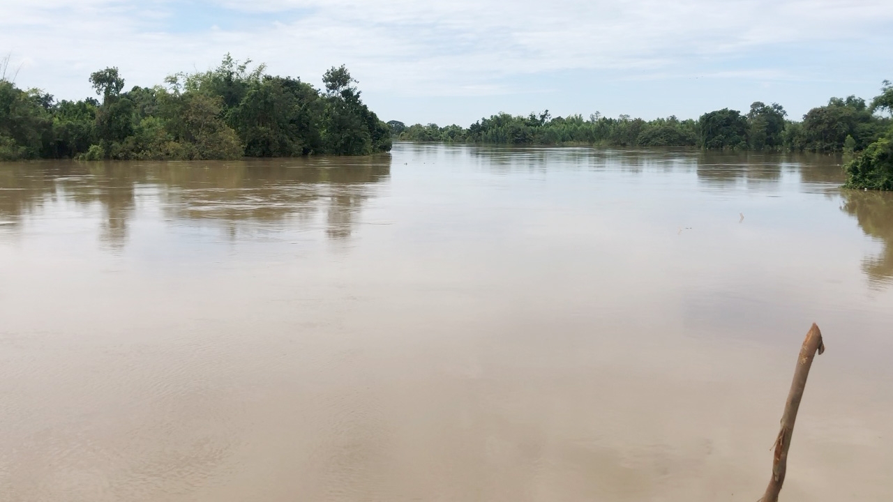 “น้ำชี” กลับสู่ภาวะปกติสัปดาห์หน้า หากไม่มีฝนตกซ้ำ