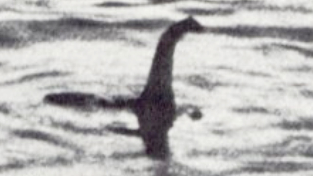 นักวิทย์ชี้ สัตว์ประหลาด “เนสซี” แห่งล็อคเนสแท้จริงอาจเป็นปลาไหลยักษ์