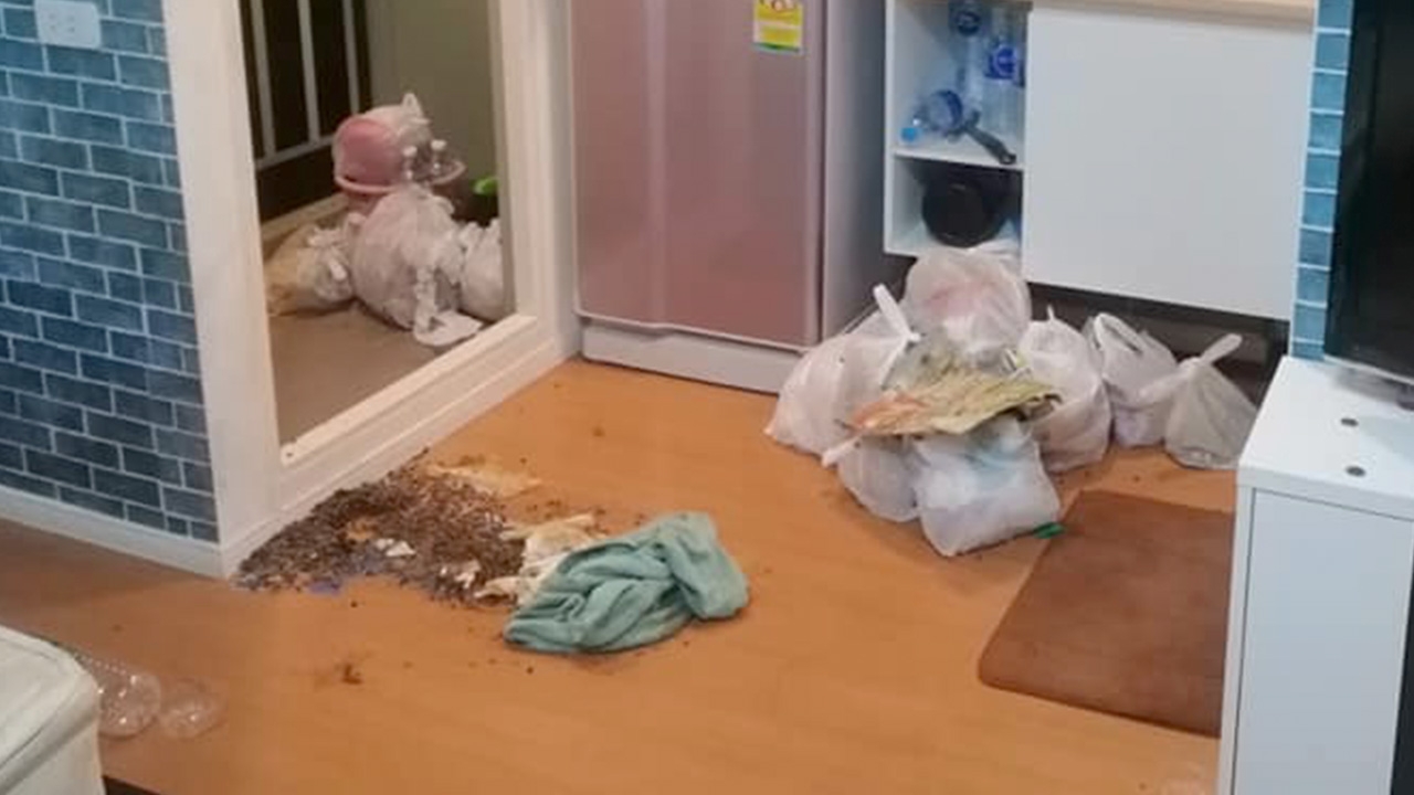 เจ้าของสุดเซ็ง อ้างผู้เช่าเบี้ยวเงิน ทำห้องหนอนขึ้น ขอจ่าย 5 พันจบเรื่อง