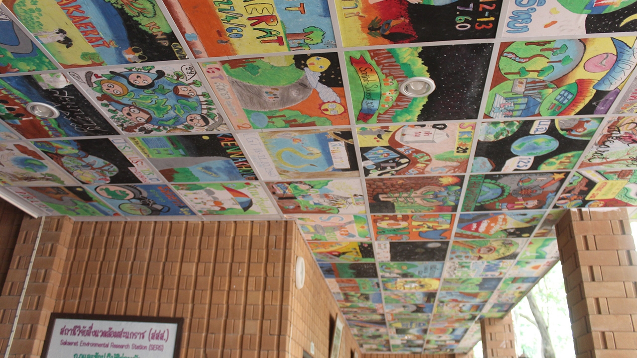 ภาพวาดเยาวชนนับพัน ถูกประดับบนเพดาน สถานีวิจัยสิ่งแวดล้อมสะแกราช