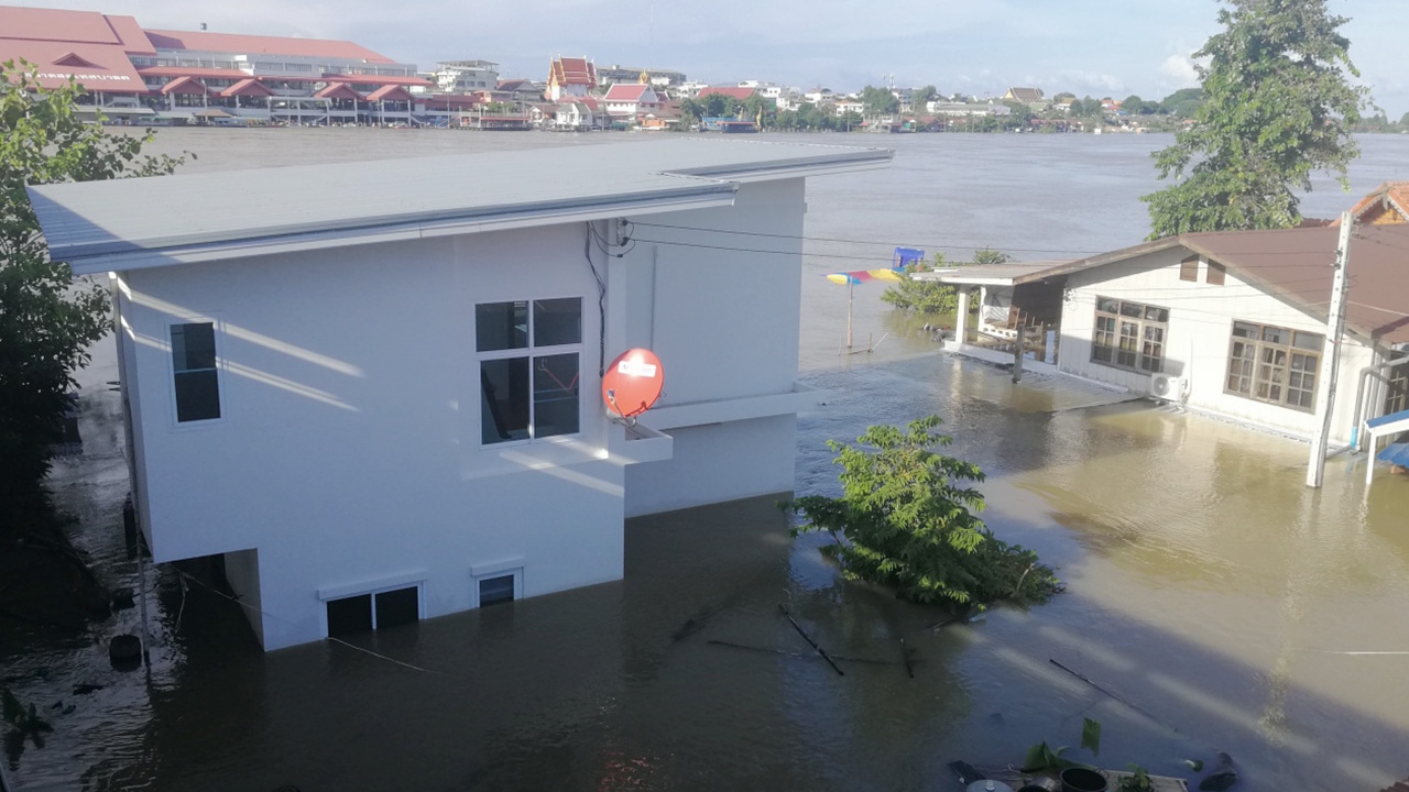 น้ำท่วมอุบลฯ ชาวบ้านไร้ที่ขับถ่ายวอนขอสุขา หมาแมวไร้ที่อยู่เกาะหลังคา
