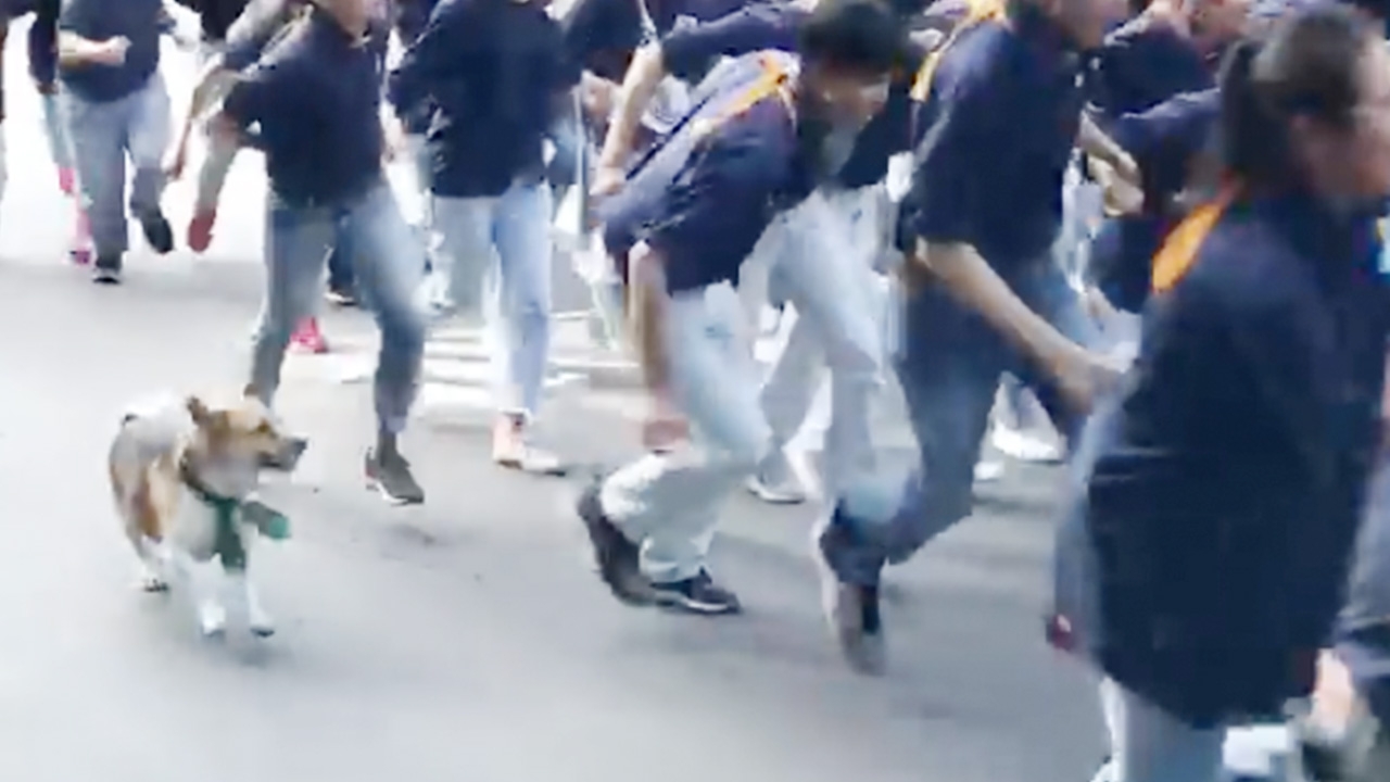 รวมภาพ รับน้องขึ้นดอย 62 เจ้าเตี้ยหมาดัง ขวัญใจชาวมช. ไม่พลาดแจมด้วย (คลิป)