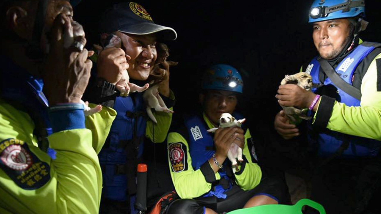 ลำบากก็ไม่ทิ้งกัน คนใจดีช่วยเหลือ "น้องหมา" ตามขอบน้ำที่อุบลฯ (คลิป)