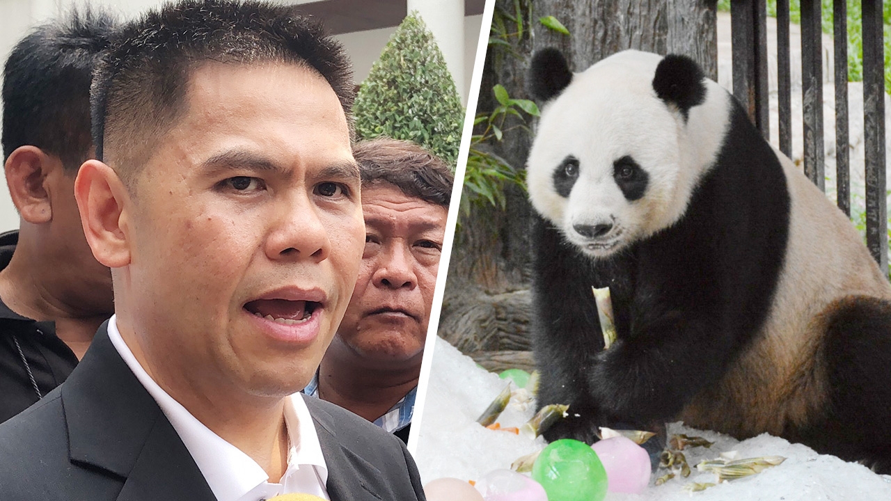 รมว.ทส. เผย รอผู้เชี่ยวชาญจีนชันสูตรสาเหตุการตาย แพนด้า “ช่วงช่วง” 