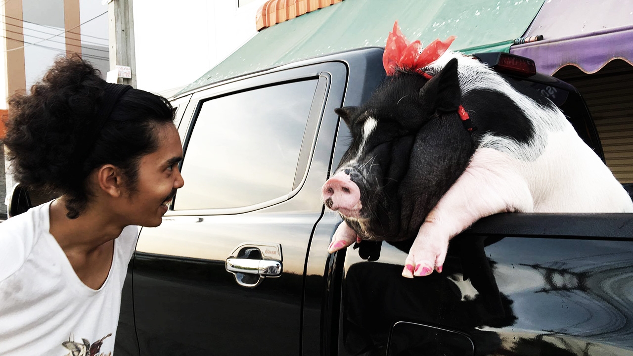 หลับให้สบายนะ ชาวเน็ตอาลัย "จูเนีย หมูปีศาจ" ไอดอลจ้ำม่ำในโลกออนไลน์