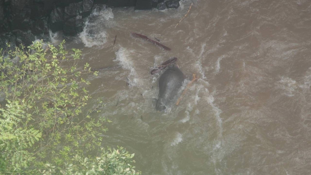 เผยจุด 6 ช้างป่าตก "น้ำตกเหวนรก" ตาย ต้องการเชือกขนาดใหญ่ช่วย 2 ตัวที่เหลือ
