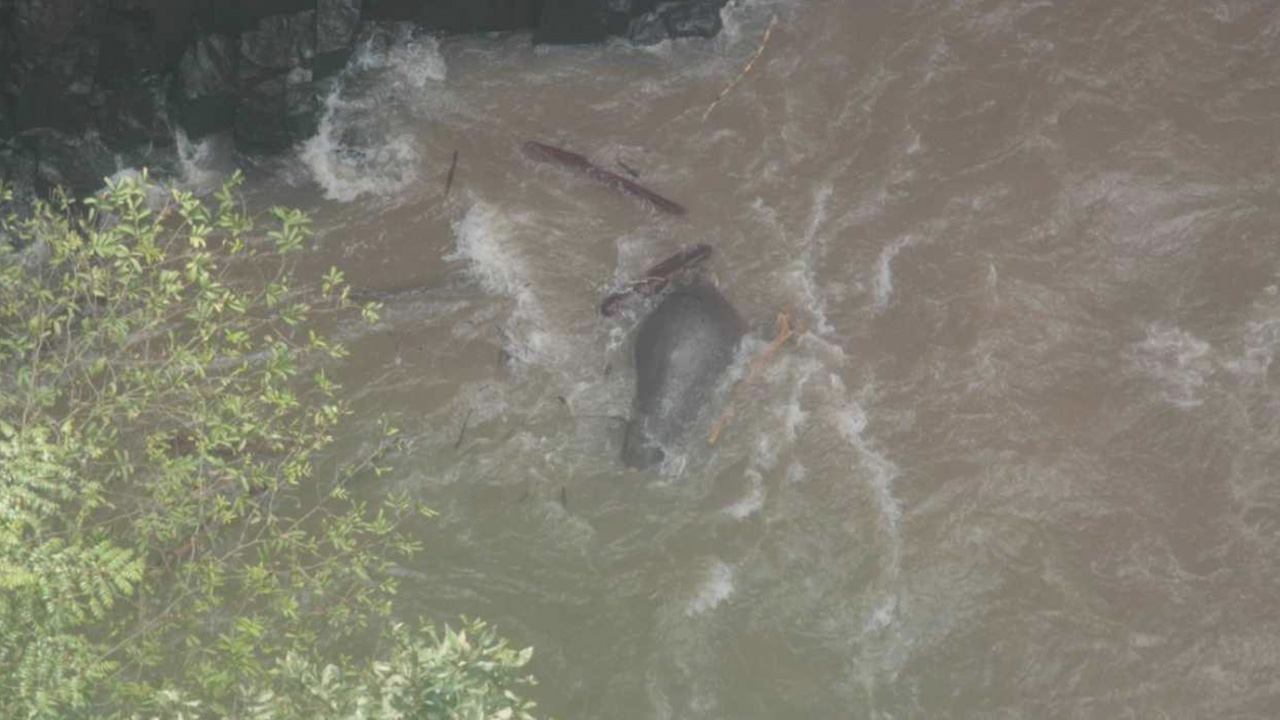 พบช้างตกเหวนรก ตาย 11 ตัว ไม่ใช่ 6 หลังใช้โดรนบินสำรวจ