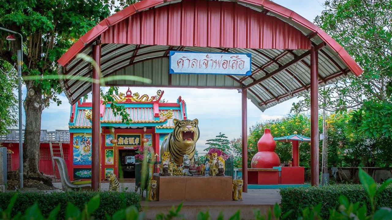 ผวา ไม่กล้าเที่ยวงานงิ้ว ศาลเจ้าพ่อเสือ แก๊งโจ๋ท้าทายอริ เจอกันครึ่งทาง