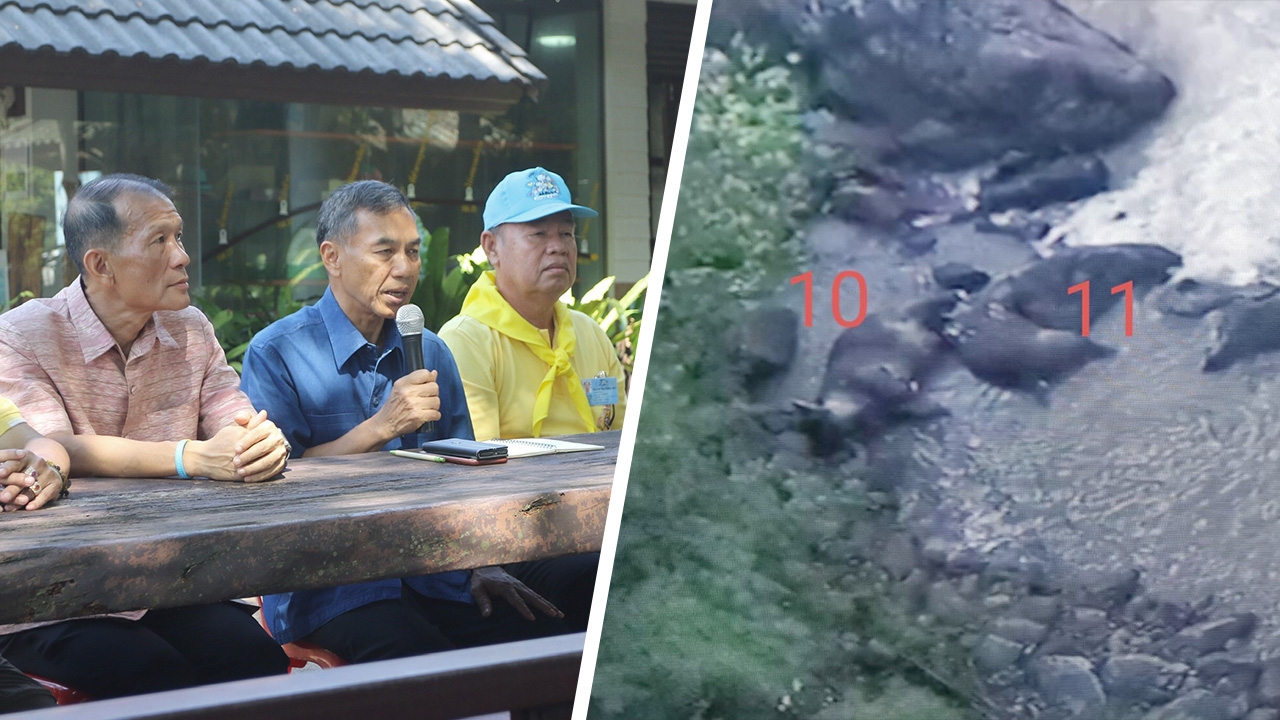 โศกนาฏกรรม ซ้ำรอย ช้างป่าเขาใหญ่ ตกเหวนรก ยืนยันตาย 11 ตัว  