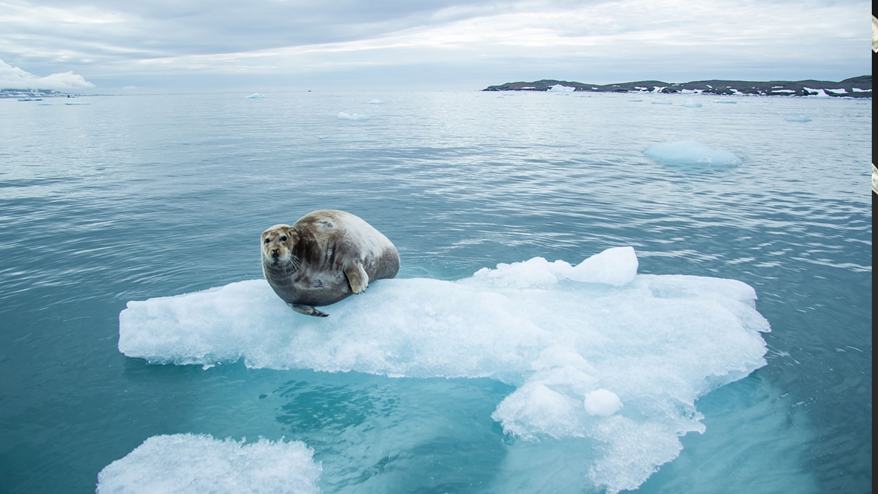 หน้าต่างโลก : แม่น้ำลึกลับที่ซ่อนตัว