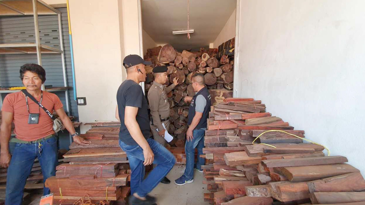 บุกค้นบริษัทค้าไม้เนื้อแข็ง ตะลึง พบซุก "ไม้พะยูง" ค่ากว่า 100 ล้าน