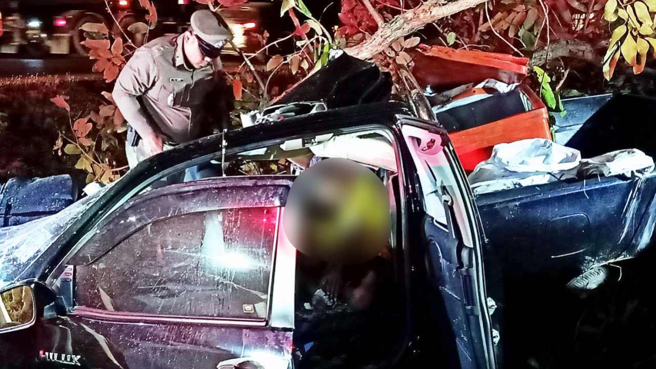 ปิกอัพตกถนน เพิ่งออกจากปราณบุรี ชนต้นไม้บายพาสหัวหิน ประเดิม 2 ศพ 