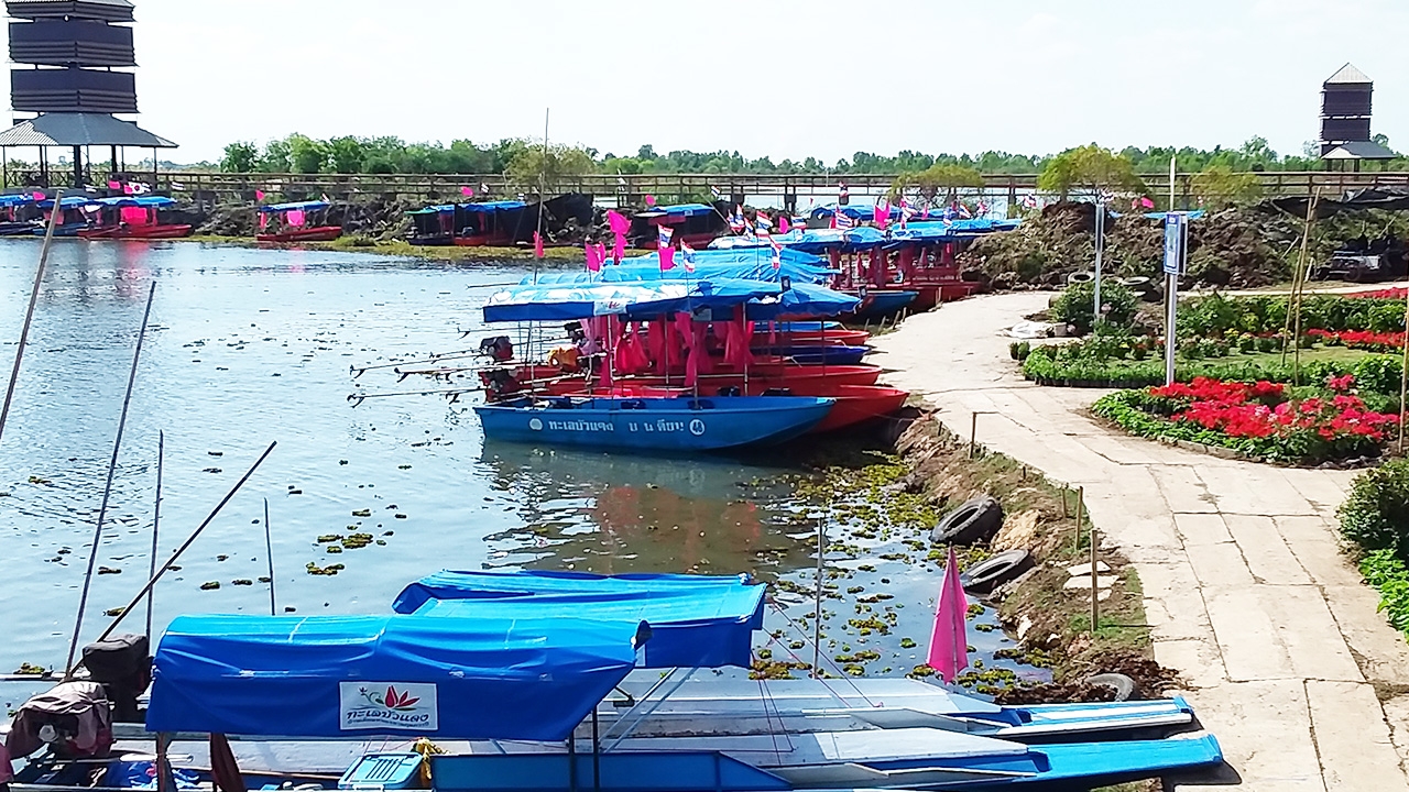 ปีนี้คนไทยชม "ทะเลบัวแดง" น้อยลง ชาวจีนแห่เที่ยวแทน พบปัญหาการสื่อสาร