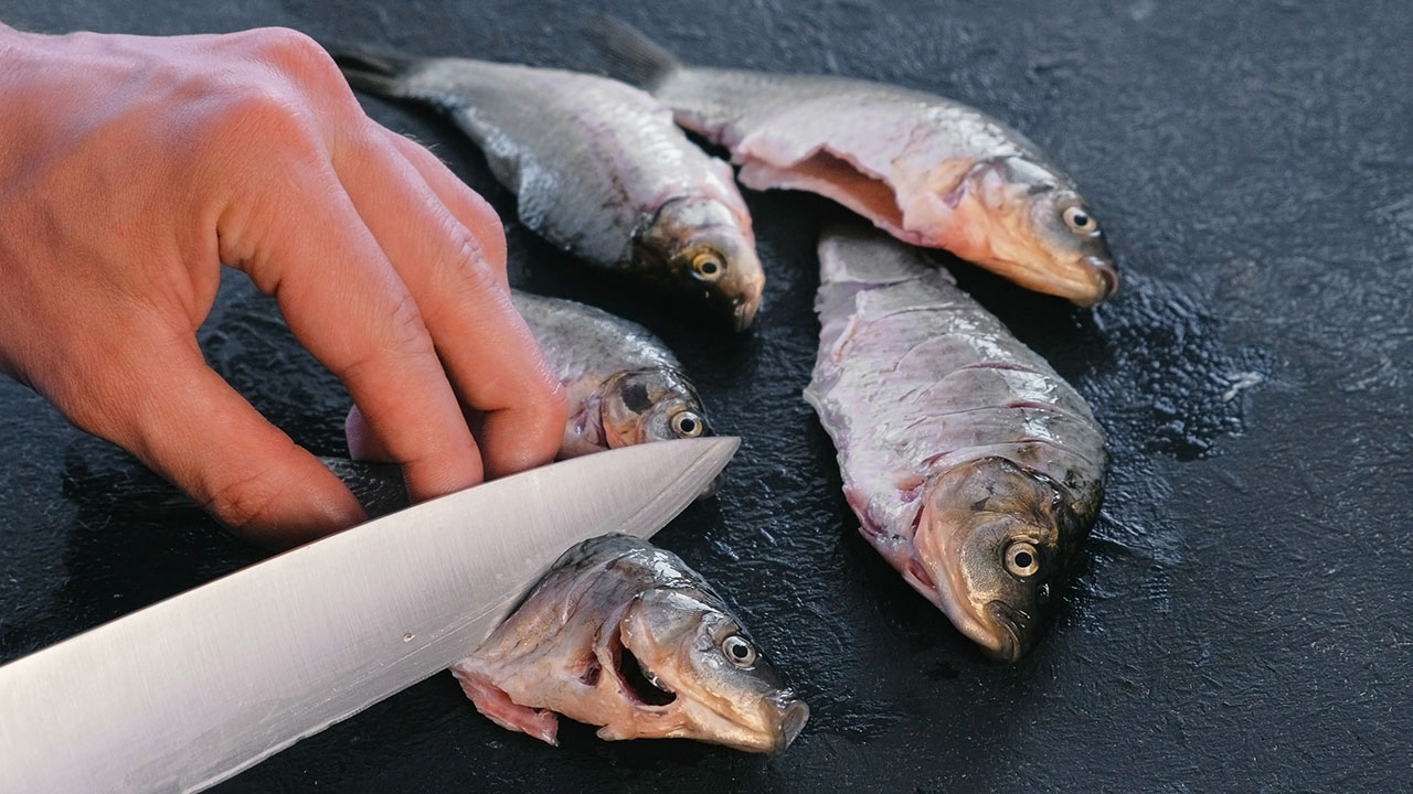 เปิดฟ้าภาษาโลก : Dress the fish quickly.
