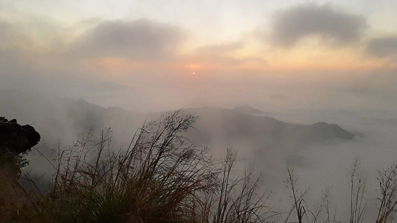 ไทยตอนบนหนาว 'เหนือ-อีสาน'ยังเย็น กทม.มีหมอก อากาศต่ำสุด 23 องศา