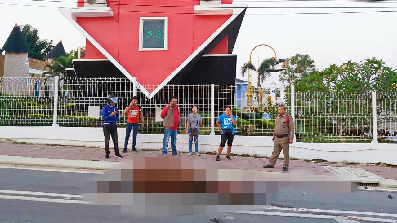 ม้าสาวรุ่นหลุดจากคอก โดนกระบะชนตายคาถนน หน้าบ้านกลับหัวที่สัตหีบ