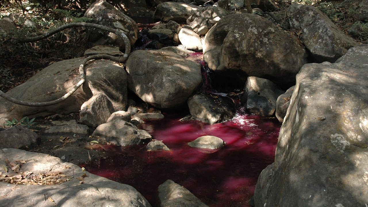 ไขปริศนา "น้ำตกเฒ่าโต้" เปลี่ยนเป็นสีแดง คาดมาจากโรงกรองน้ำประปา