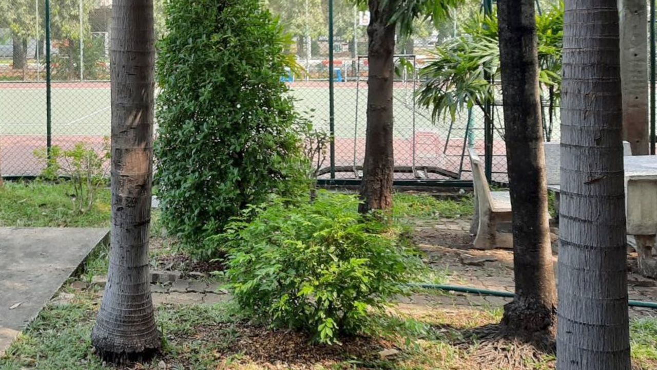 รู้แล้ว เว็บแพร่คลิปคู่รักมีเซ็กซ์เอาต์ดอร์ ในมหา'ลัย เชื่อตามตัวไม่ยาก