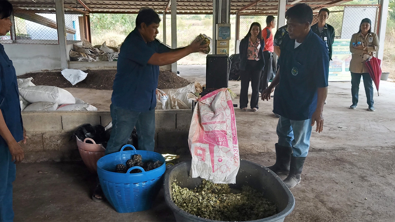 สูตรอาหารสัตว์จากสับปะรด