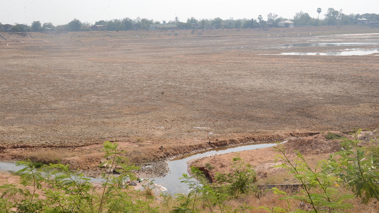 โคราชวิกฤติ แล้งหนักรอบ 10 ปี พื้นที่เกษตร เสียหายกว่า 5 หมื่นไร่