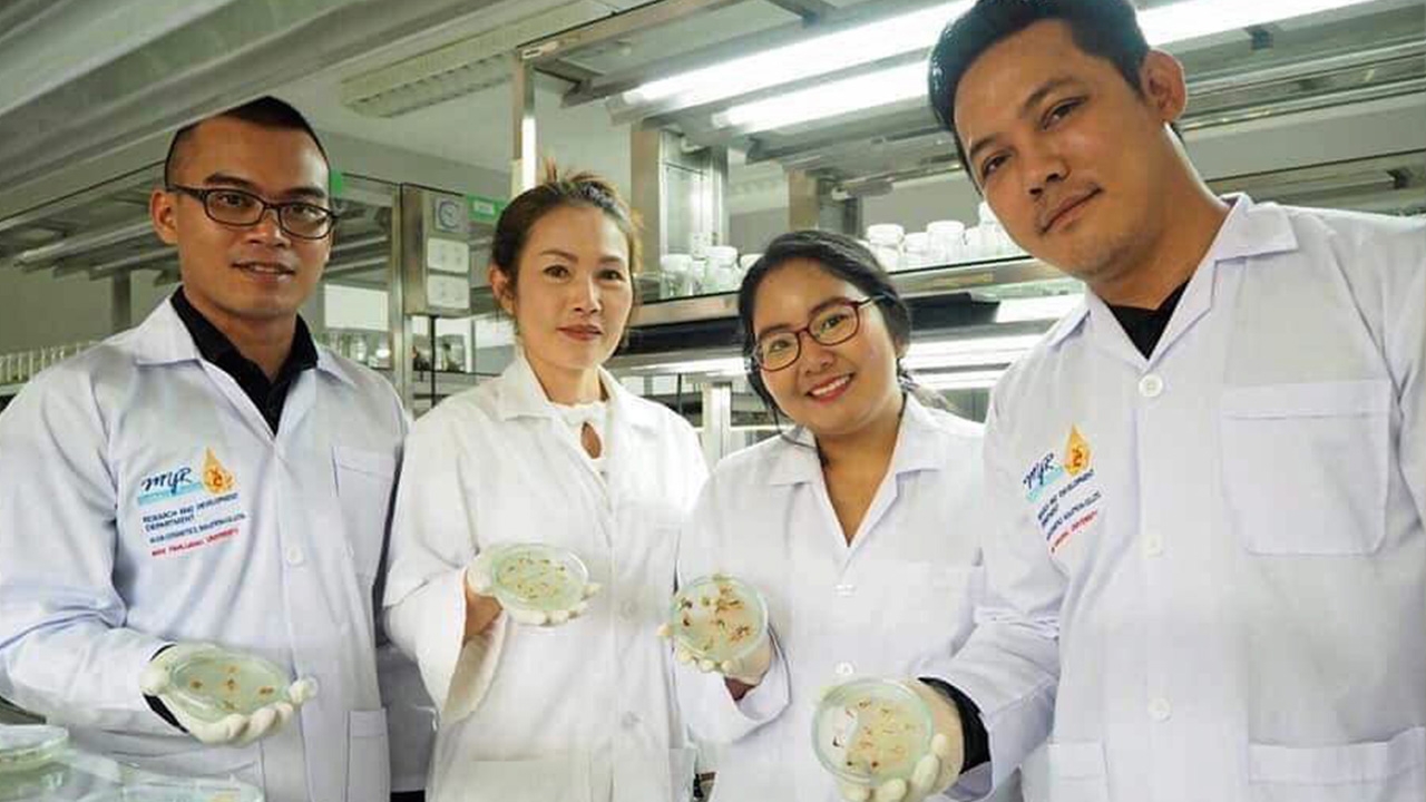 ครีมโฟมสเต็มเซลล์ข้าว ล้างฝุ่น PM 2.5 ทำแก่