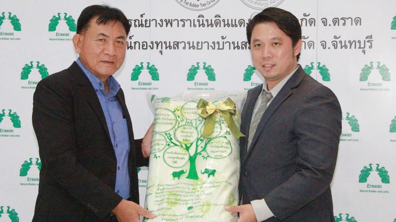 แนะศึกษา B10 โมเดล เน้นสร้างผลิตภัณฑ์ หนุนเพิ่มมูลค่ายางพารา