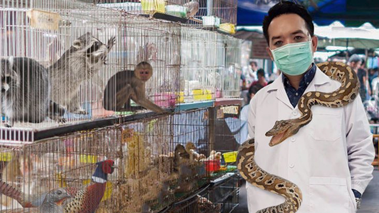 หมอแล็บ แนะวิธีป้องกัน "เชื้อไวรัสโคโรน่า" หลังพบผู้ป่วยรายแรกที่ไทย