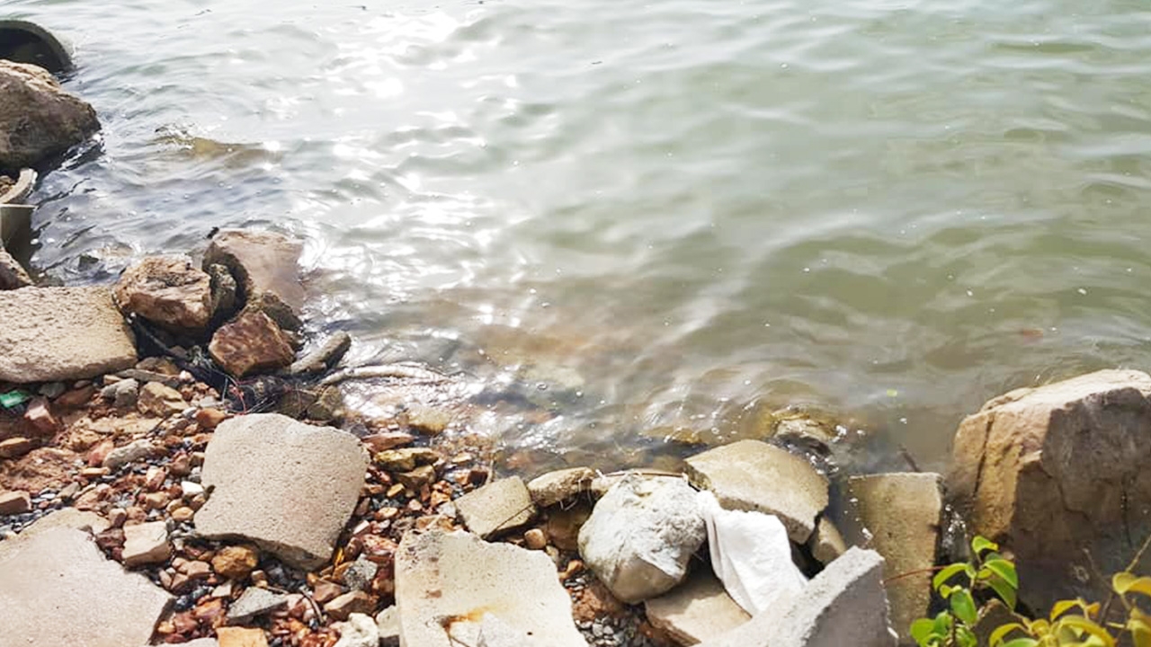 พบศพชายลอยน้ำติดข้างวัดในสงขลา คาดตายมาแล้ว 2 วัน ตร.เร่งหาญาติรับศพ