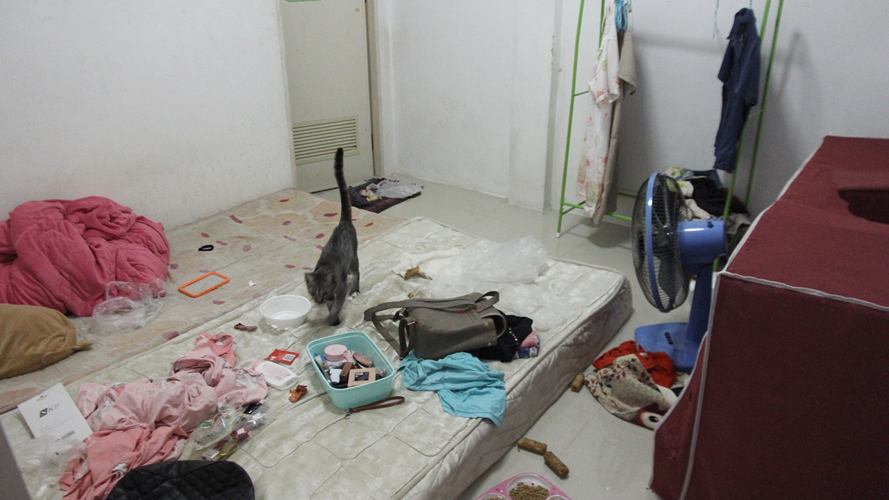 เจ้าของแทบทรุด 2 สาวค้างค่าเช่า ทำห้องเหม็นตลบ เปิดมาเจอแมว 1 ตัว