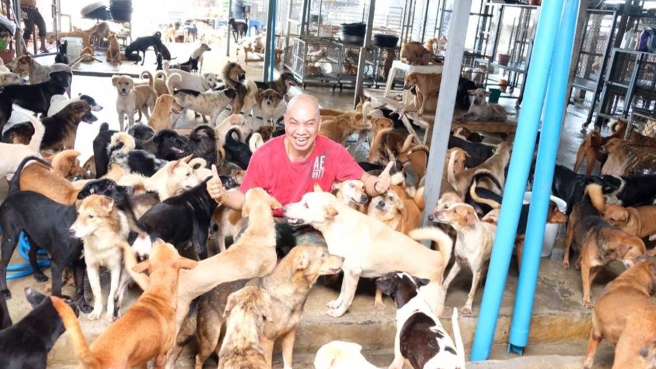 เบี้ยยังชีพสูงวัย 600 บาท ได้ปีนี้ อุ๊บ จะจัดให้น้องหมาหมด  