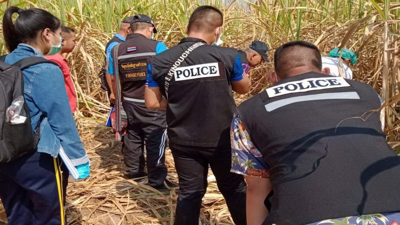 พบศพหนุ่มสักหนุมาน นอนตายแห้งเป็นโครงกระดูก คาไร่อ้อยที่วังสะพุง