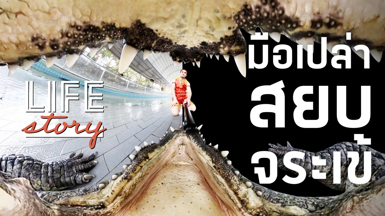 LIFE STORY : มือเปล่า สยบ จระเข้ ท้ามฤตยูทุกเสี้ยววินาที (คลิป)