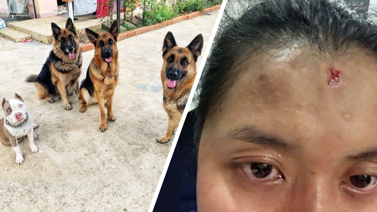 สาวเล่า อยู่บ้านคนเดียว โจรบุกทำร้าย โชคดีสุนัขเห่าเตือน ดันตัวเข้าบ้าน