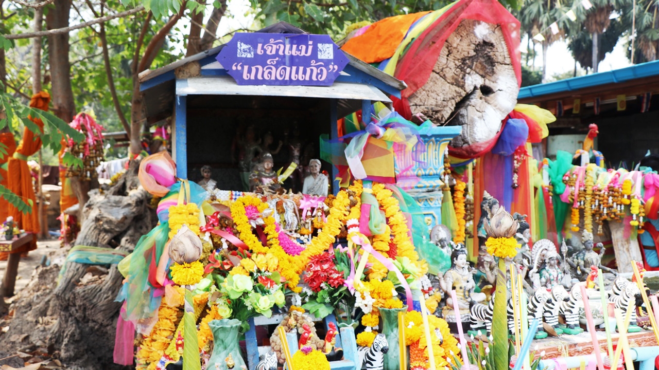 'เจ้าแม่เกล็ดแก้ว' เข้าฝันหนุ่มใหญ่ เสี่ยงได้เลข 568 หวังรวยงวดนี้