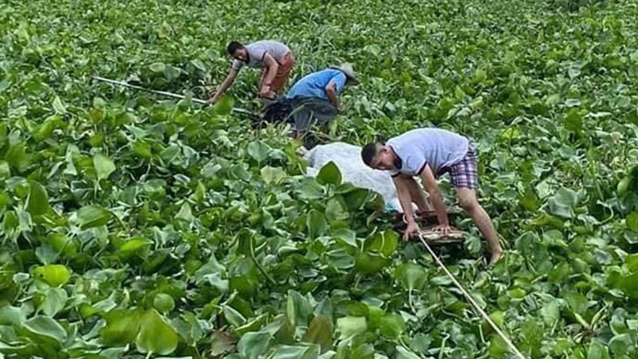 ยกย่อง 2 นรต.จิตอาสาโดดน้ำช่วยคุณตาติดกอผักตบที่นครปฐม ชูเป็นแบบอย่าง