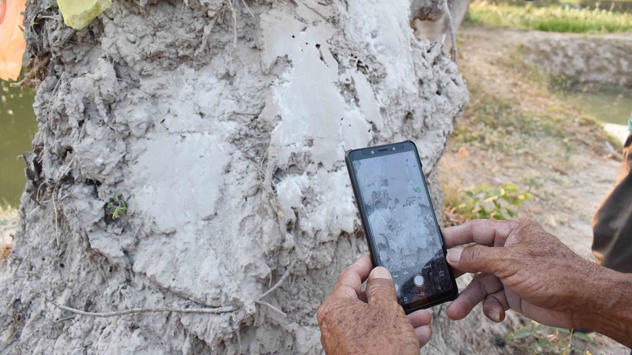 เซียนหวยแก้บน "จอมปลวกปู่ราชสีห์" งวดนี้ยิ้มต่อได้ "เลขเด็ด" ไปลุ้นโชค