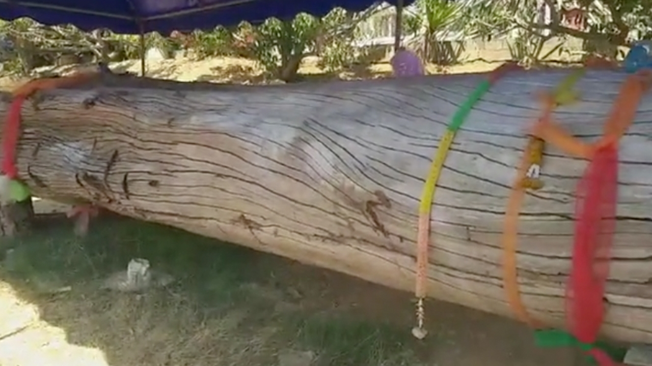 ชาวบ้านเชียงดาวแห่ไหว้ขอเลขเด็ด แม่ตะเคียนทองวัดแม่ป๋าม เชื่อบันดาลโชค