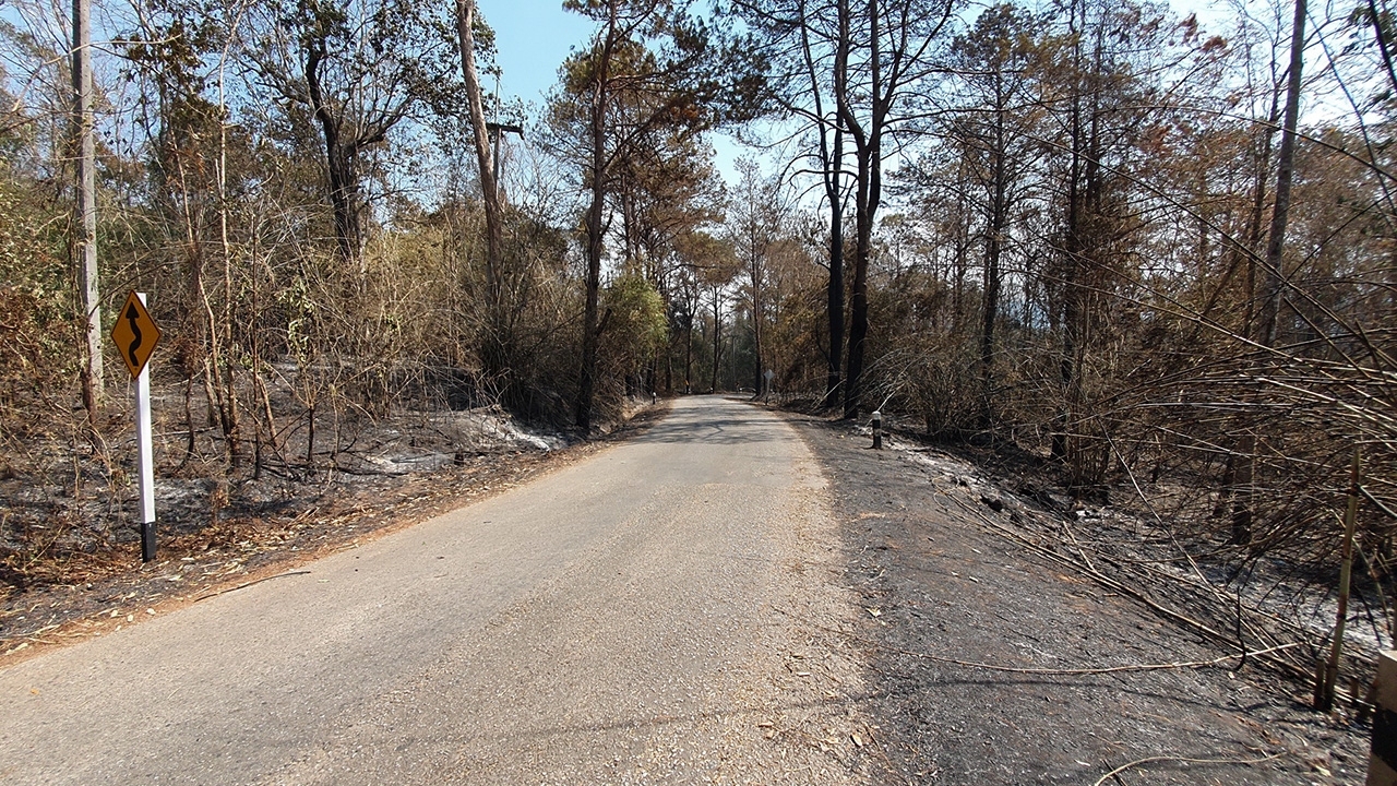 จนท.เร่งคุมไฟป่าบน อช.ภูเรือ หลังวอดแล้วกว่า 100 ไร่ ร้านค้าเสียหาย