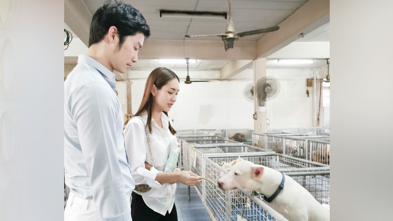 มิน พีชญา ควง โอ๊ต แบ่งปันความรักให้สัตว์พิการในวันวาเลนไทน์