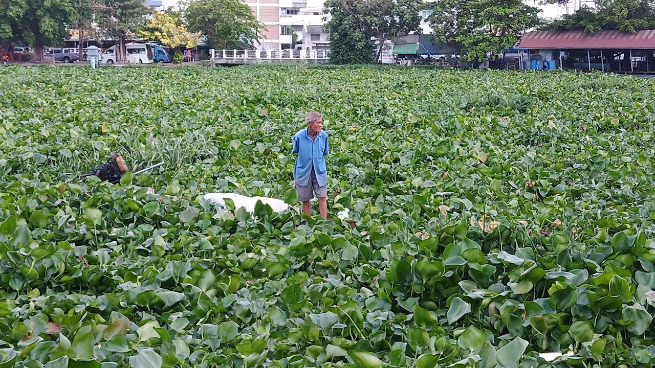 ตำรวจช่วยคุณตาวัย 71 เรือติดผักตบกลางน้ำท่าจีน ตากแดดไปไม่ได้นาน 6 ชม. 