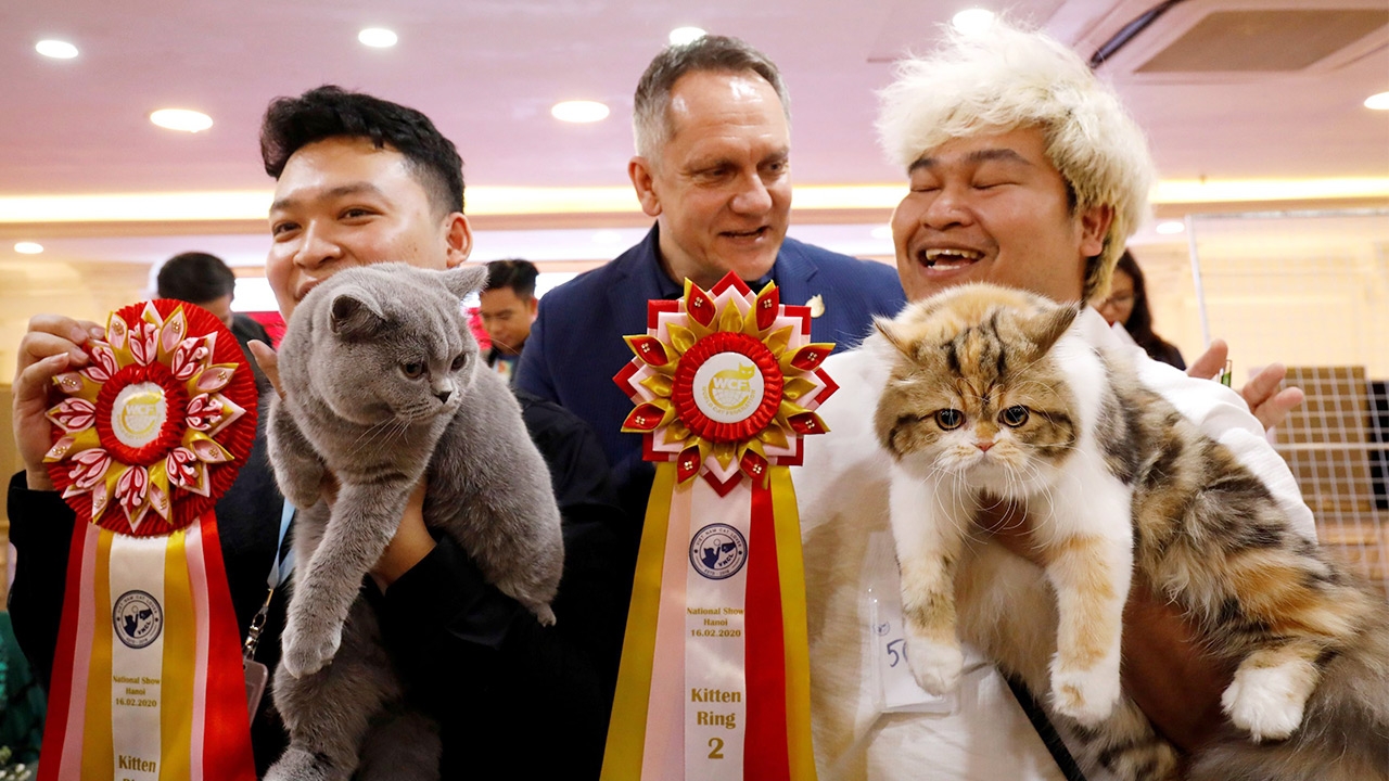 เปิดม่าน joke opera : “แมว” กับ “ความรัก”