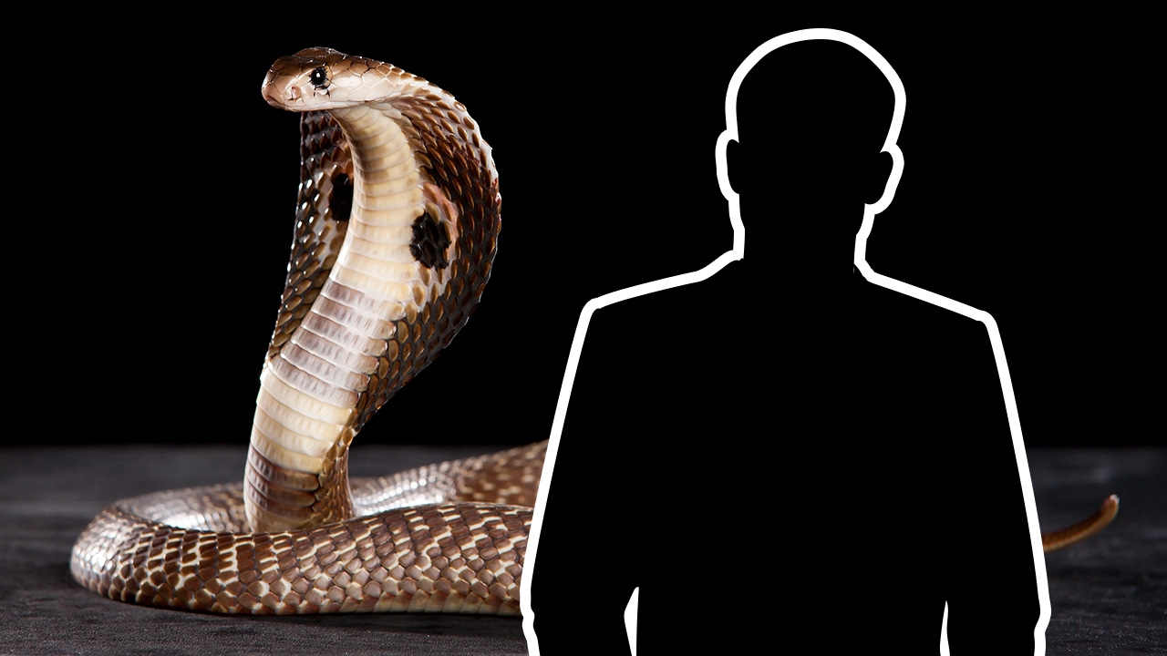 รู้คำตอบแล้วเลิ่กลั่ก "พระเอกกินงู" ปัจจุบันแฟนนางเอก อดีตปากมันแผลบงับงู