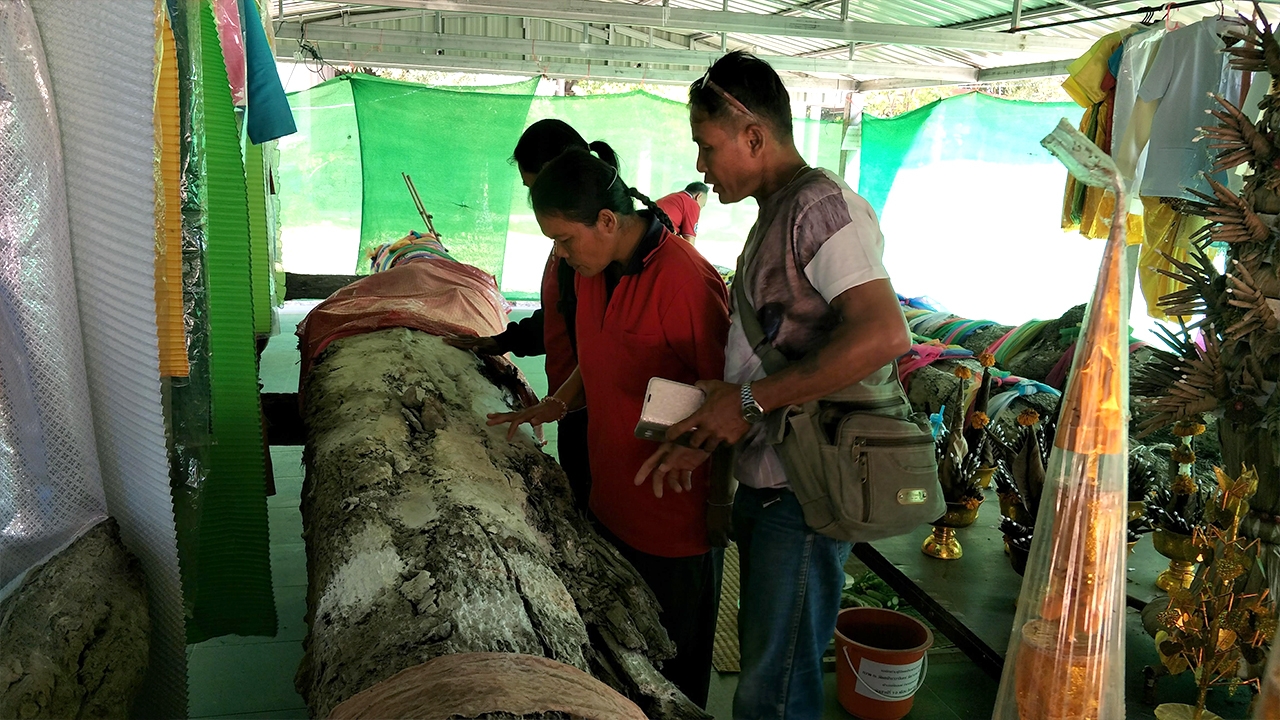 คอหวยมุ่งขอโชค ตะเคียน 200 ปี ไม่พลาดส่อง "เลขเด็ด" ขันน้ำมนต์